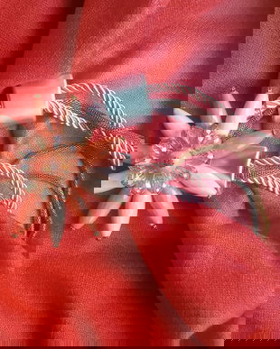 SAL SI COLIER CULOAREA ANULUI