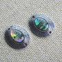 Link paua shell (F28)