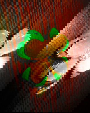 brosa frumoasa si norocoasa