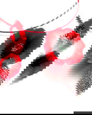 Set din fimo cu maci 45441