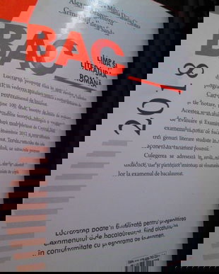 2018 Bac limba romana