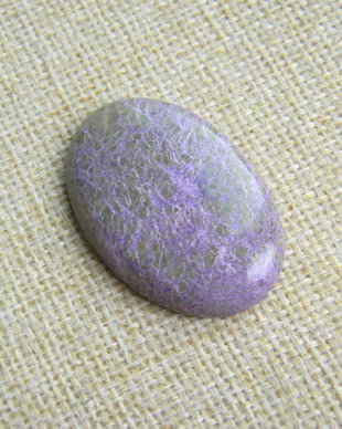 Caboson atlantisit (stichtit) (F41-1)