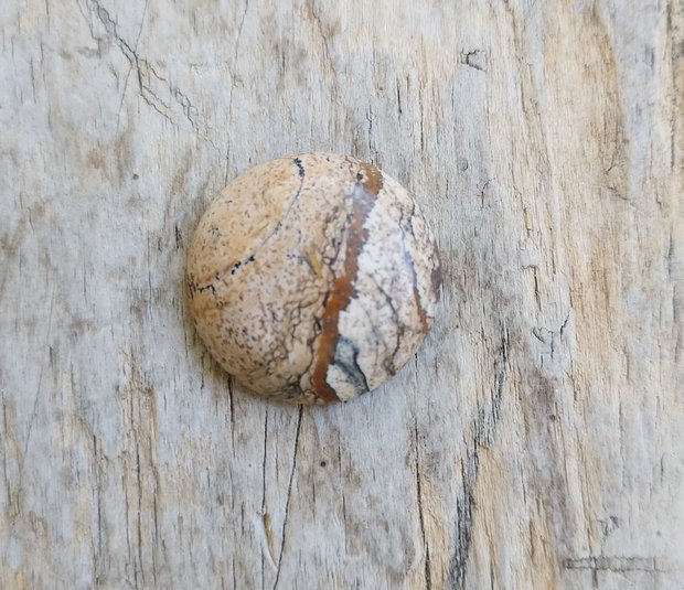 Cabochon picture jasper, 25 mm