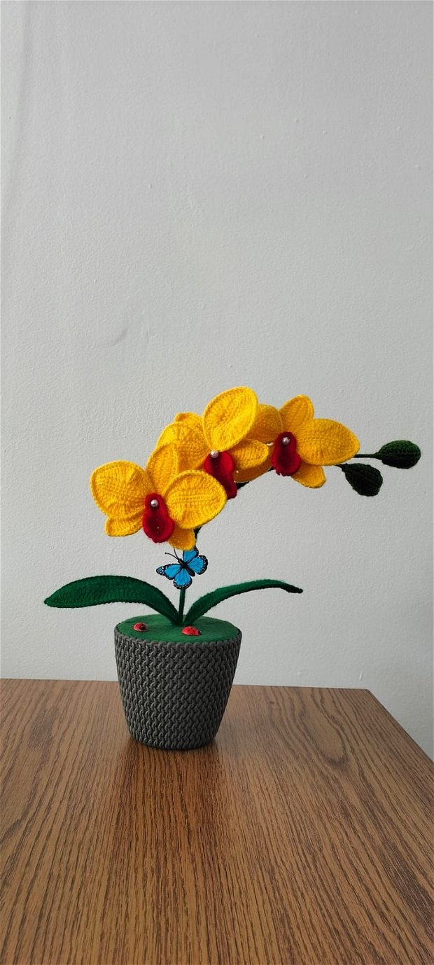 Orhidee crosetata