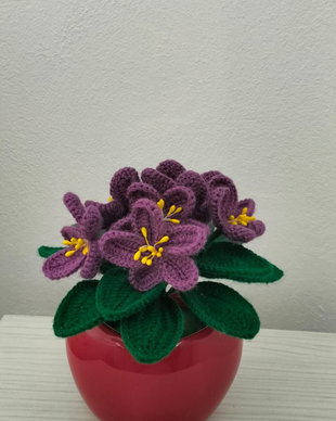 Violeta de Parma