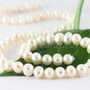 Perle cultura 6-6.5mm, cod F9962 (1sir)