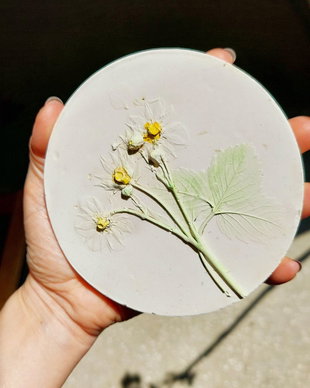 Amprenta vegetala