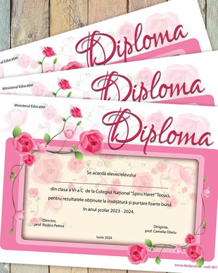 Diploma scolara model 001
