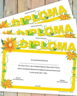 Diploma scolara model 002