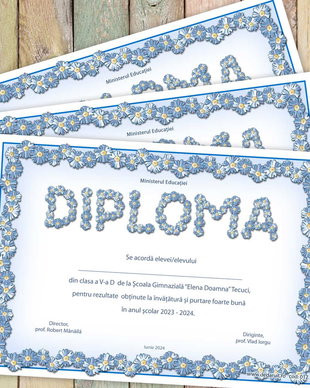 Diploma scolara model 017