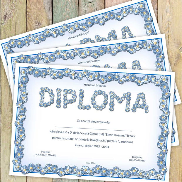 Diploma scolara model 017