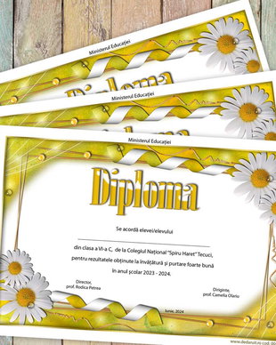 Diploma scolara model 004