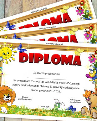 Diploma scolara model 005