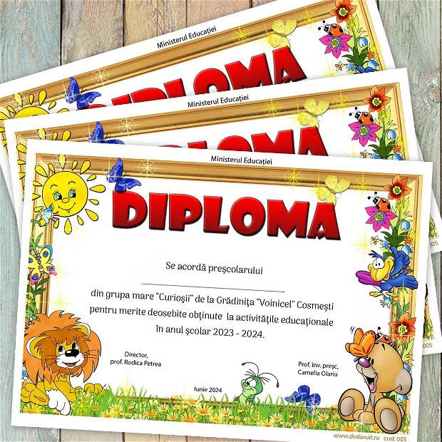 Diploma scolara model 005