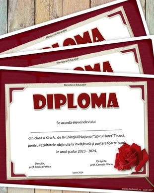 Diploma scolara model 007