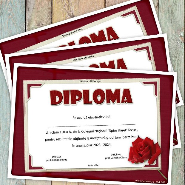 Diploma scolara model 007