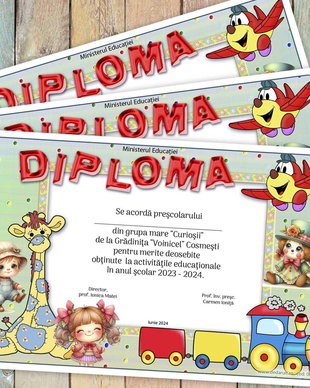 Diploma scolara 009