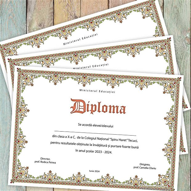 Diploma scolara model 010