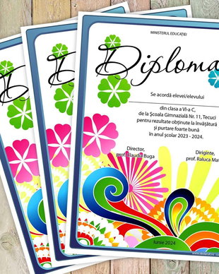 Diploma scolara model 040