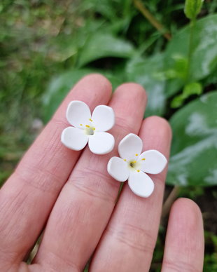 Cercei iasomie