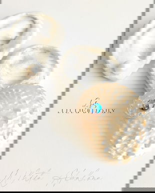 Cercei White Abalone