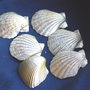 Scoici/melci - 6 buc. (F41)