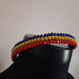 Bentita tricolor