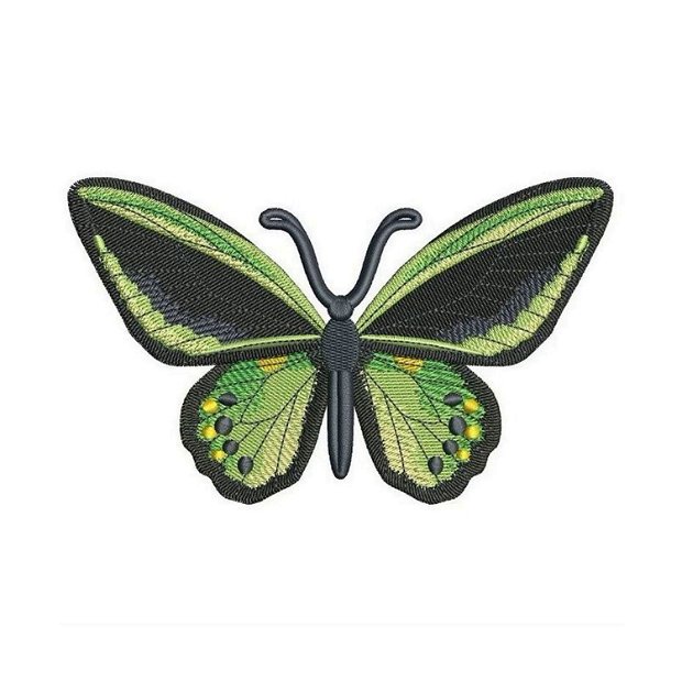 Fluture exotic verde brosa