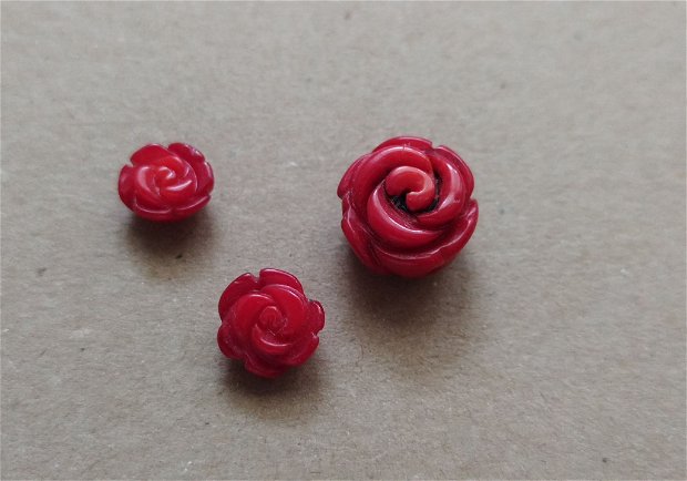 Trandafirasi coral rosu, semigauriti (3 buc)