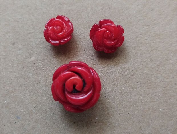 Trandafirasi coral rosu, semigauriti (3 buc)