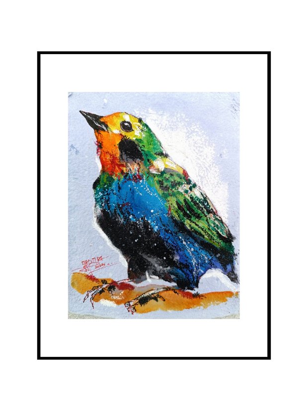 Tablou Colorful BIRD - Pictura Originală - BIRDS Collection