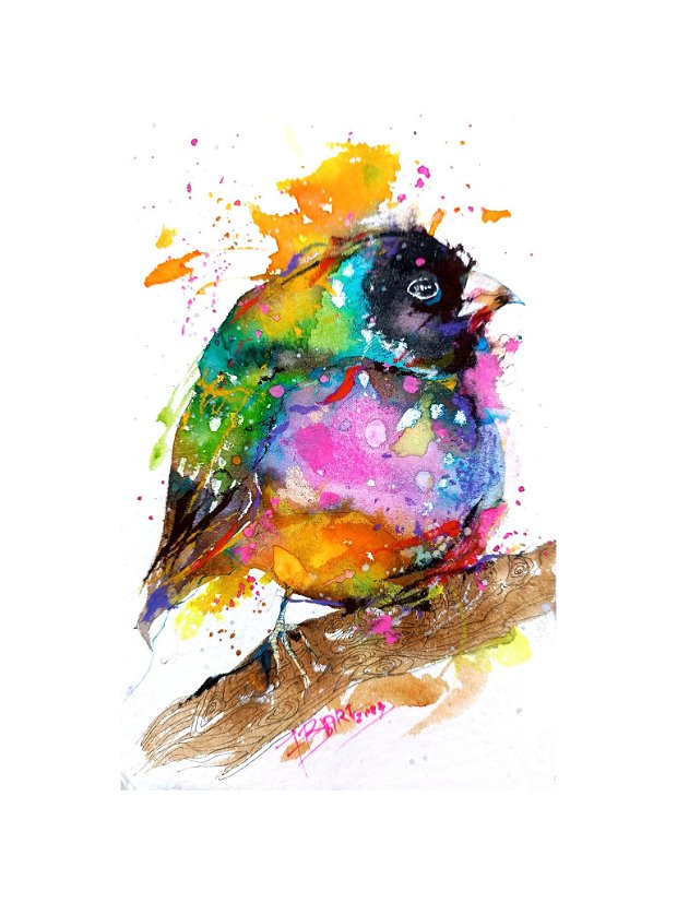 Tablou Rainbow Wings - Pictura Originală - Birds Collection