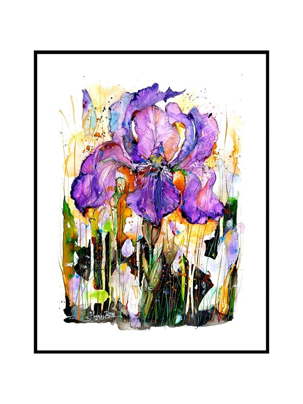 Iris Germanica - Pictura Originală - Nature And Colors Collection