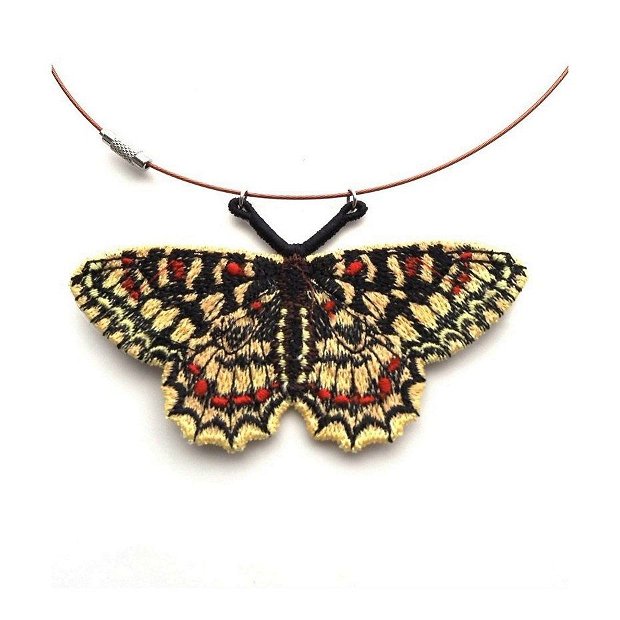 Fluture exotic medalion