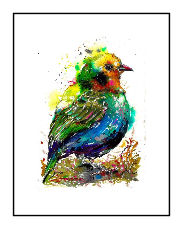 Tablou Colorful Bird - Birds Collection