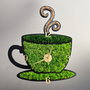 Ceas cafea cu licheni