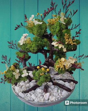 Bonsai inflorit