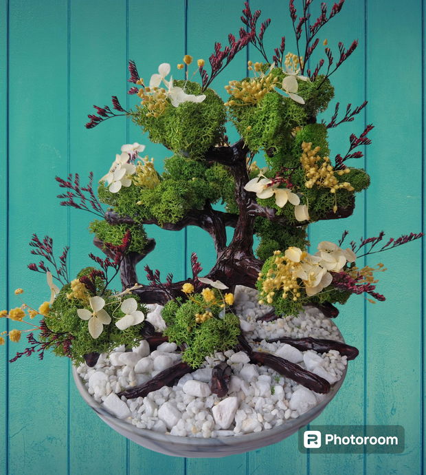 Bonsai inflorit