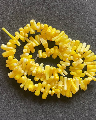 Lchips 15 - coral tepi chips