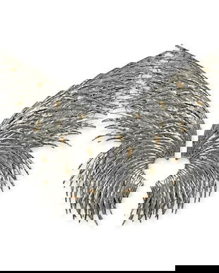 Set doua aripi de inger