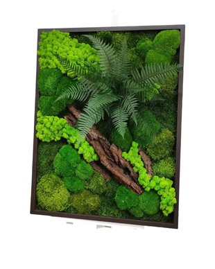Tablou cu Licheni Stabilizați 70x60 cm