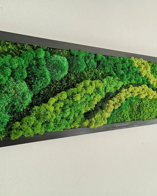 Tablou cu Licheni Stabilizați 120x40 cm