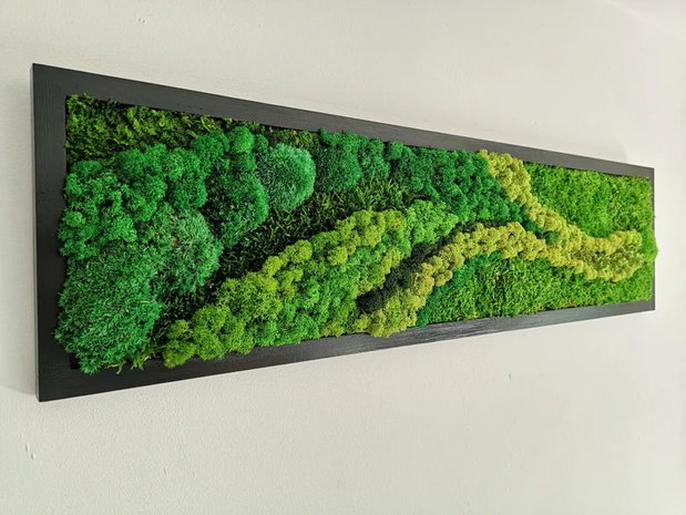 Tablou cu Licheni Stabilizați 120x40 cm