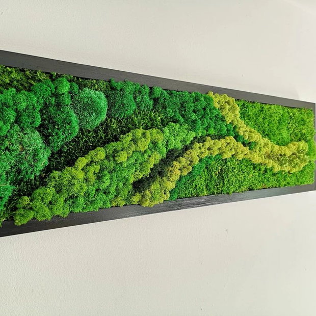 Tablou cu Licheni Stabilizați 120x40 cm