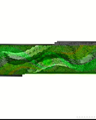 Tablou cu Licheni Stabilizați 125×45cm