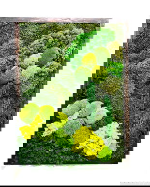 Tablou cu Licheni Stabilizați 50×40 cm