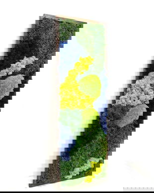 Tablou cu Licheni Stabilizați 70x30 cm