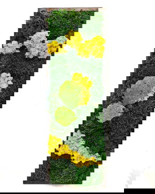 Tablou cu Licheni Stabilizați 70x30 cm