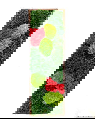 Tablou cu Licheni Stabilizați 70x30 cm