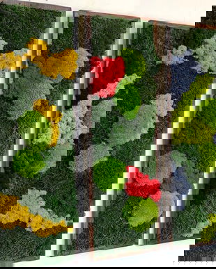 Set  Tablouri cu Licheni Stabilizați 70x30 cm